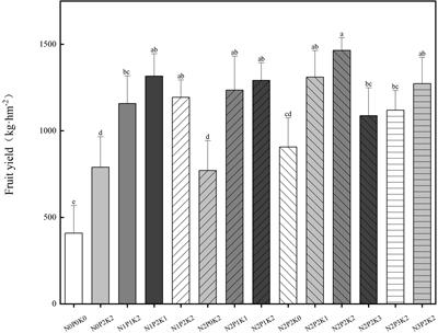 Effect of nitrogen, phosphorus and potassium fertilization management on soil properties and leaf traits and yield of Sapindus mukorossi